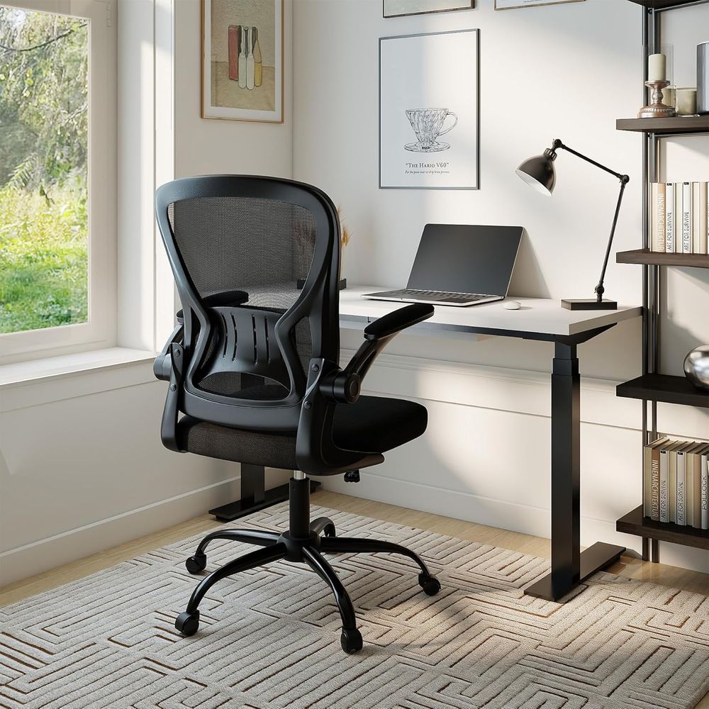 Oice Chair Set o 10, Ergonomic - đánh giá và giá Desk Setup Height