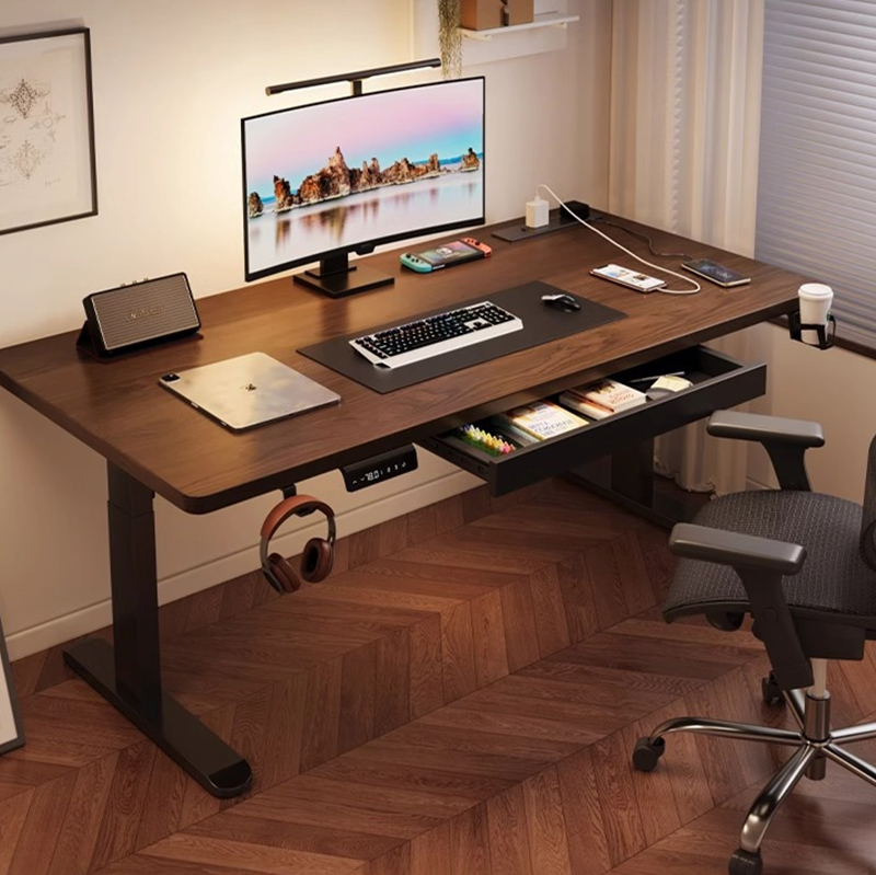 Modern Iron Dual Motor Electri - đánh giá và giá Desk Setup Designer
